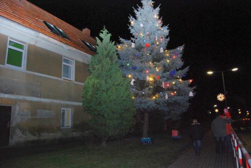 Rosvícení vánočního stromu 2013