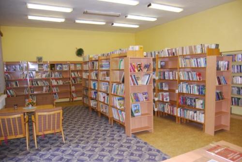 Místní knihovna